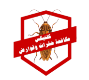 كلتيكس